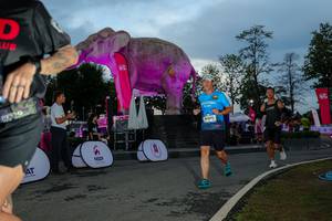 BIB: 
                            <button type="button" onclick="openModal(26529544)" class="btn btn-primary btn-sm float-right btn-popup" data-toggle="modal" data-target=".modal-high-quality">
                        <i class="fas fa-shopping-cart"></i> Add to Cart
                    </button>
                                            <button type="button" onclick="isThisMe(26529544, true)" class="btn btn-success btn-sm float-right btn-popup btn-isme hidden" data-toggle="tooltip" data-placement="bottom" title="นี่คือรูปของคุณใช่ไหม คลิกที่นี่เพื่อเอาเข้าอัลบั้ม">
                        <i class="fas fa-plus"></i> Add to album
                    </button>
                    <button type="button" onclick="isThisMe(26529544, false)" class="btn btn-warning btn-sm float-right btn-popup btn-isnotme hidden">
                        <i class="fas fa-ban"></i> Remove from album
                    </button>